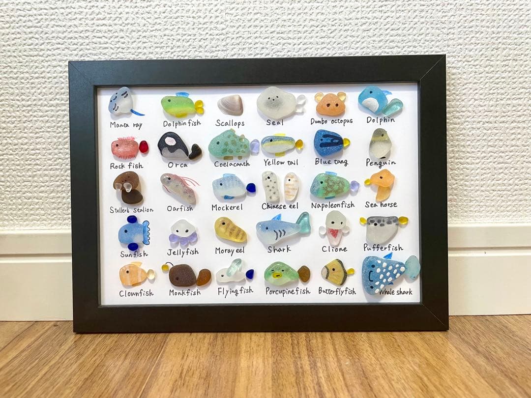 シーグラスアート☆No.399 図鑑　海の生き物　ギフト　プレゼント インテリア
