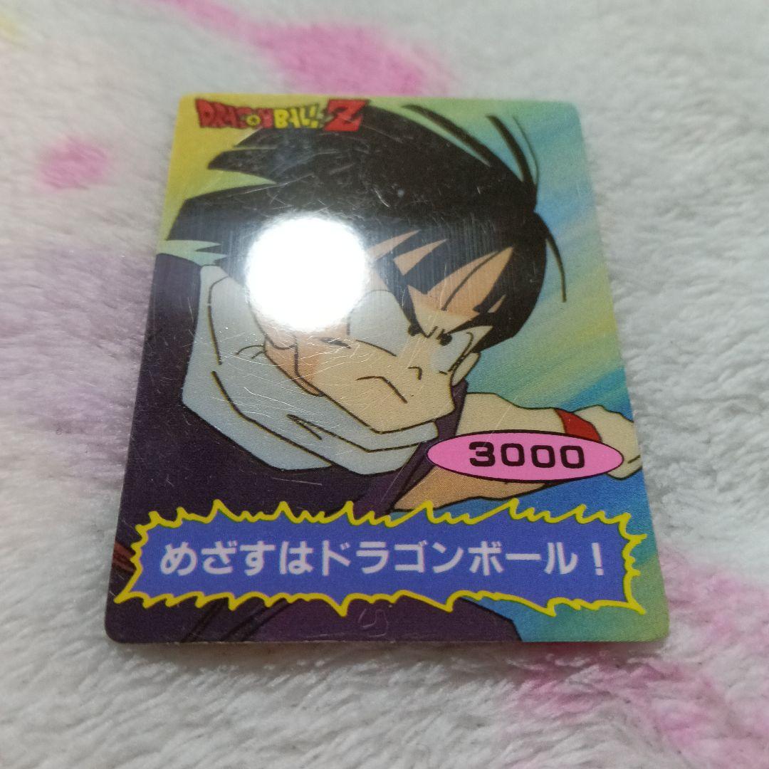 ドラゴンボールZ ポケット両面ブロマイド 山勝 カードダス PPカード