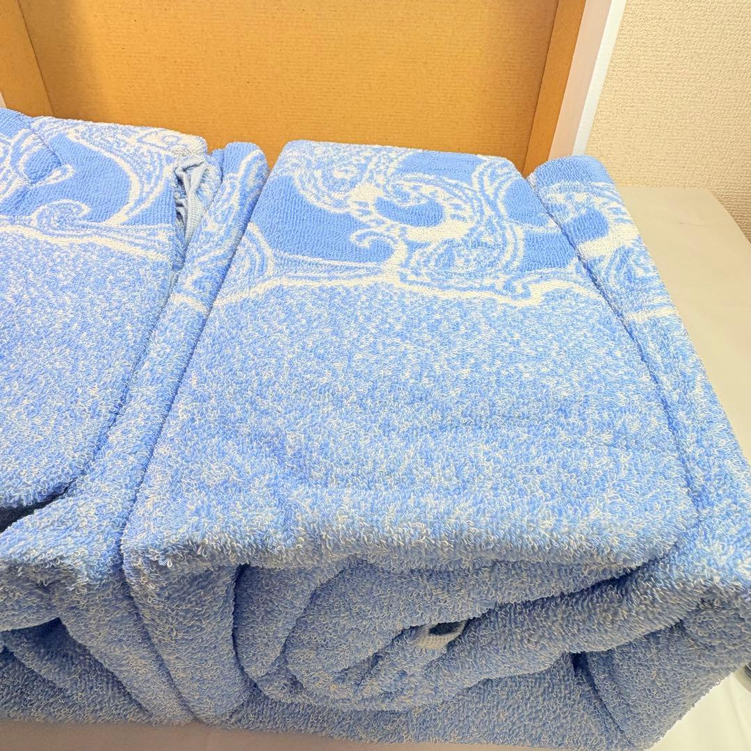 CELINE セリーヌ　タオルケット　2P ブルー　馬車ロゴ