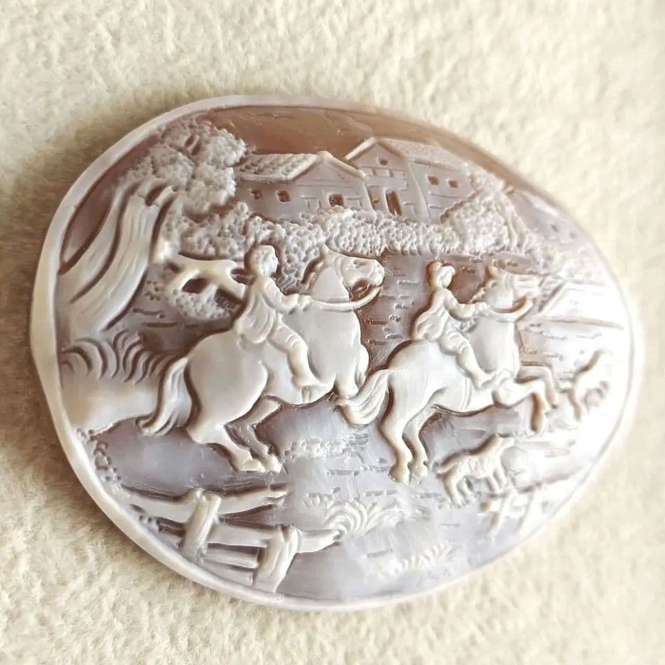 農場　シェル　カメオ　ルース