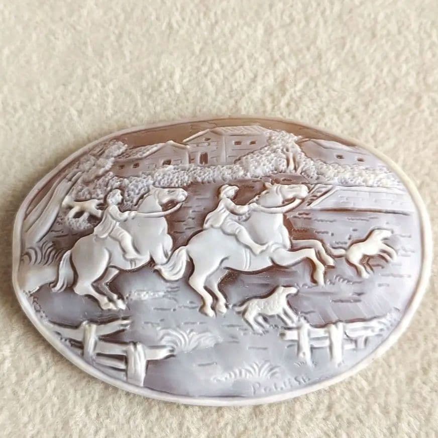 農場　シェル　カメオ　ルース