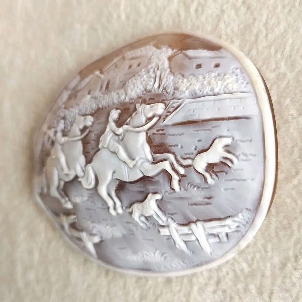 農場　シェル　カメオ　ルース