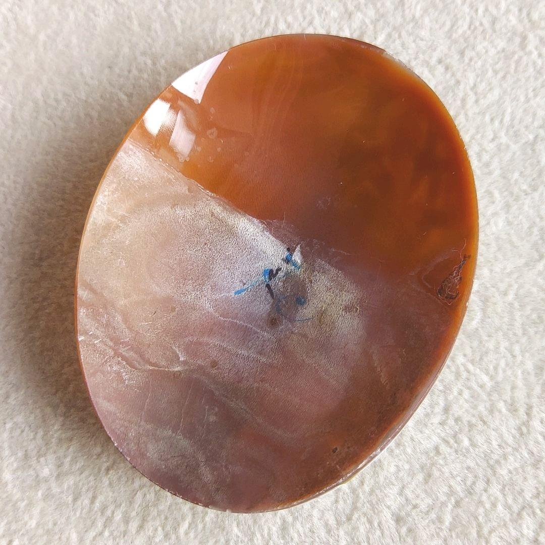 農場　シェル　カメオ　ルース