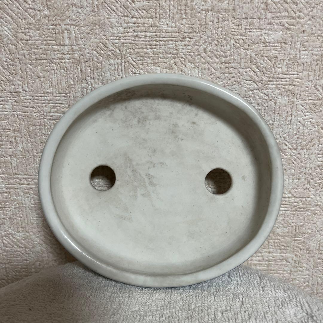 盆栽鉢　　月香　楕円鉢