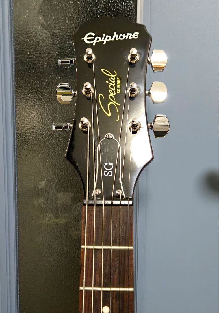美品】Epiphone SG Special GT（KillPot）／おまけ付 - メルカリ