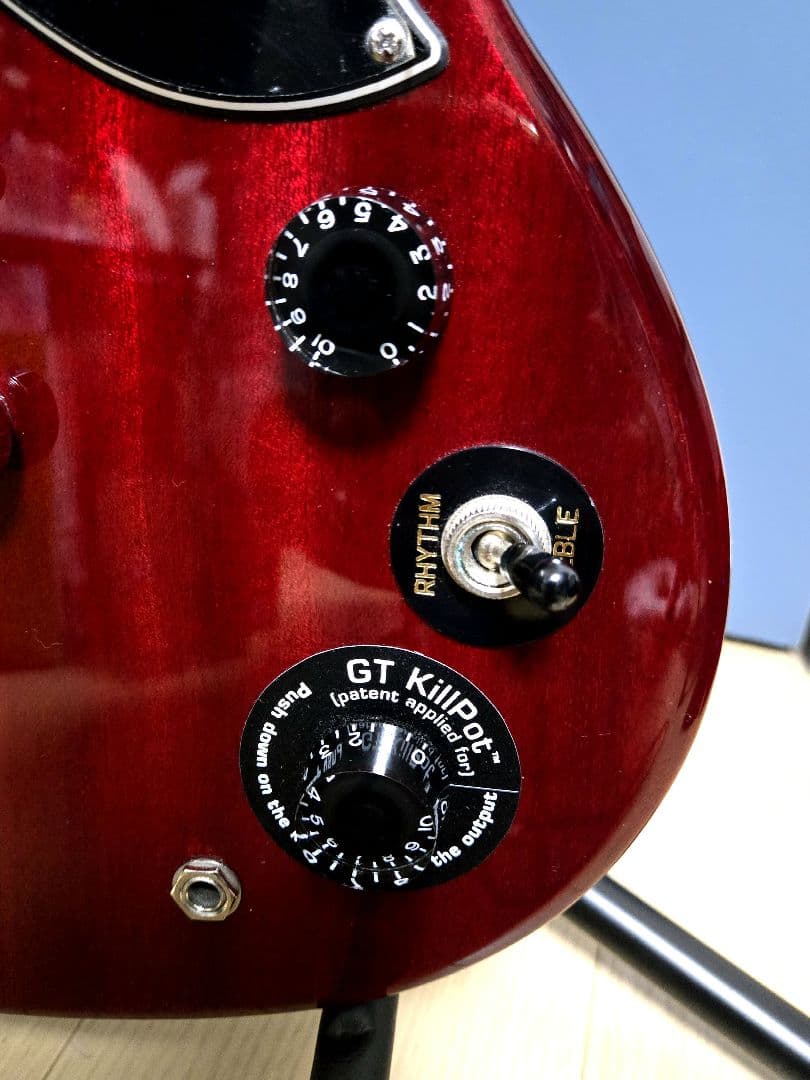 美品】Epiphone SG Special GT（KillPot）／おまけ付 - メルカリ