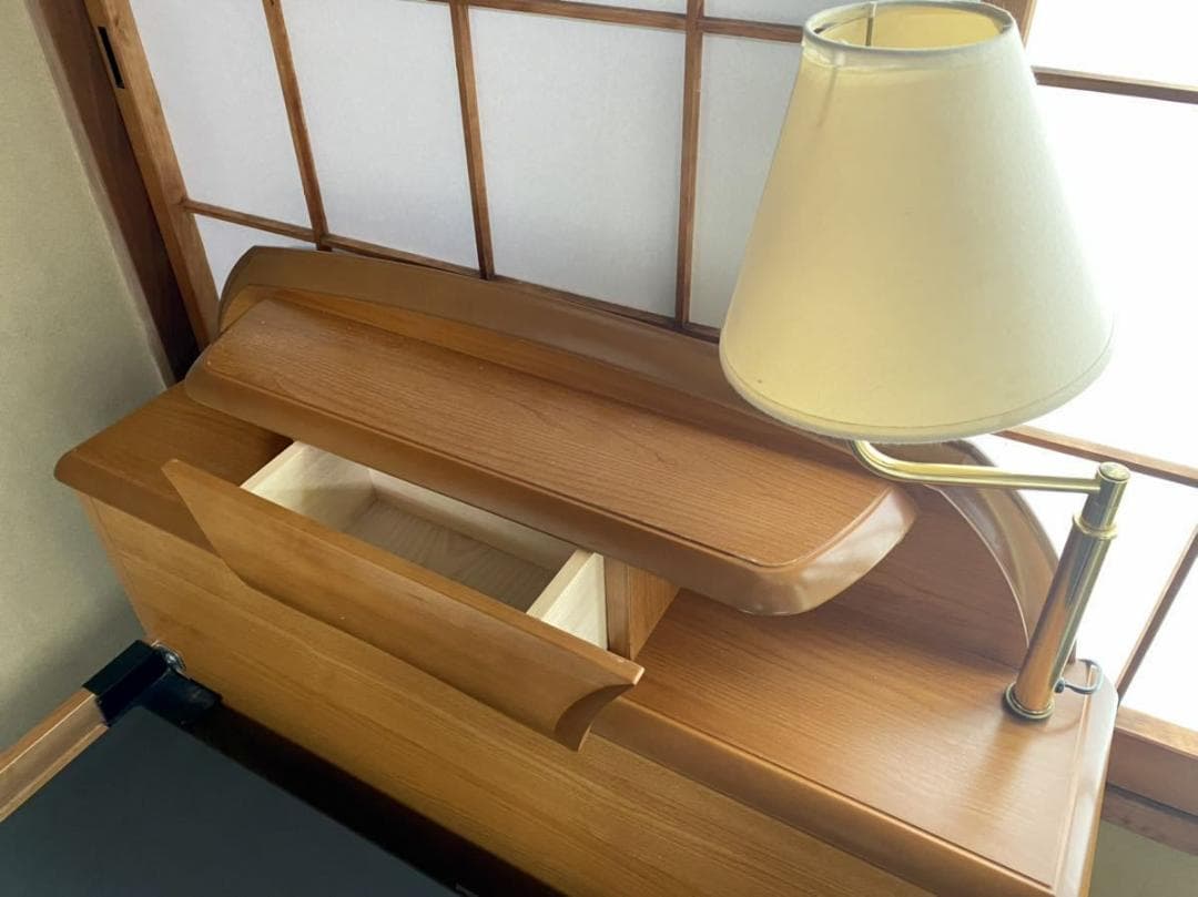 引取り限定！フランスベッド電動背上げリクライニング