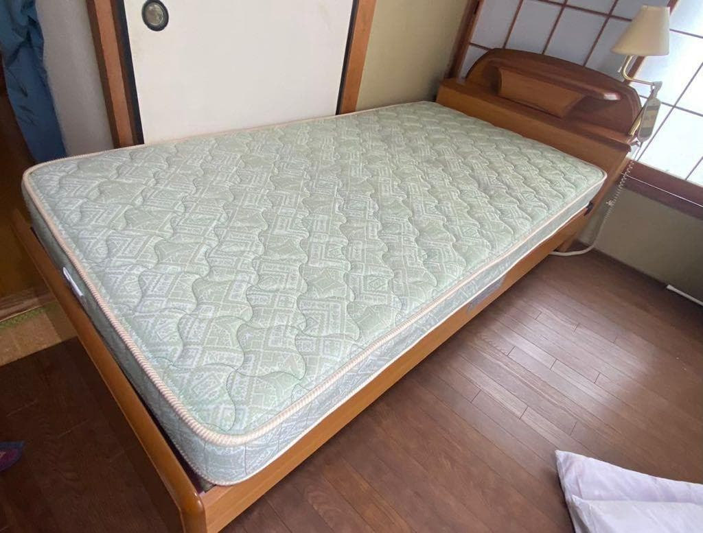 引取り限定！フランスベッド電動背上げリクライニング