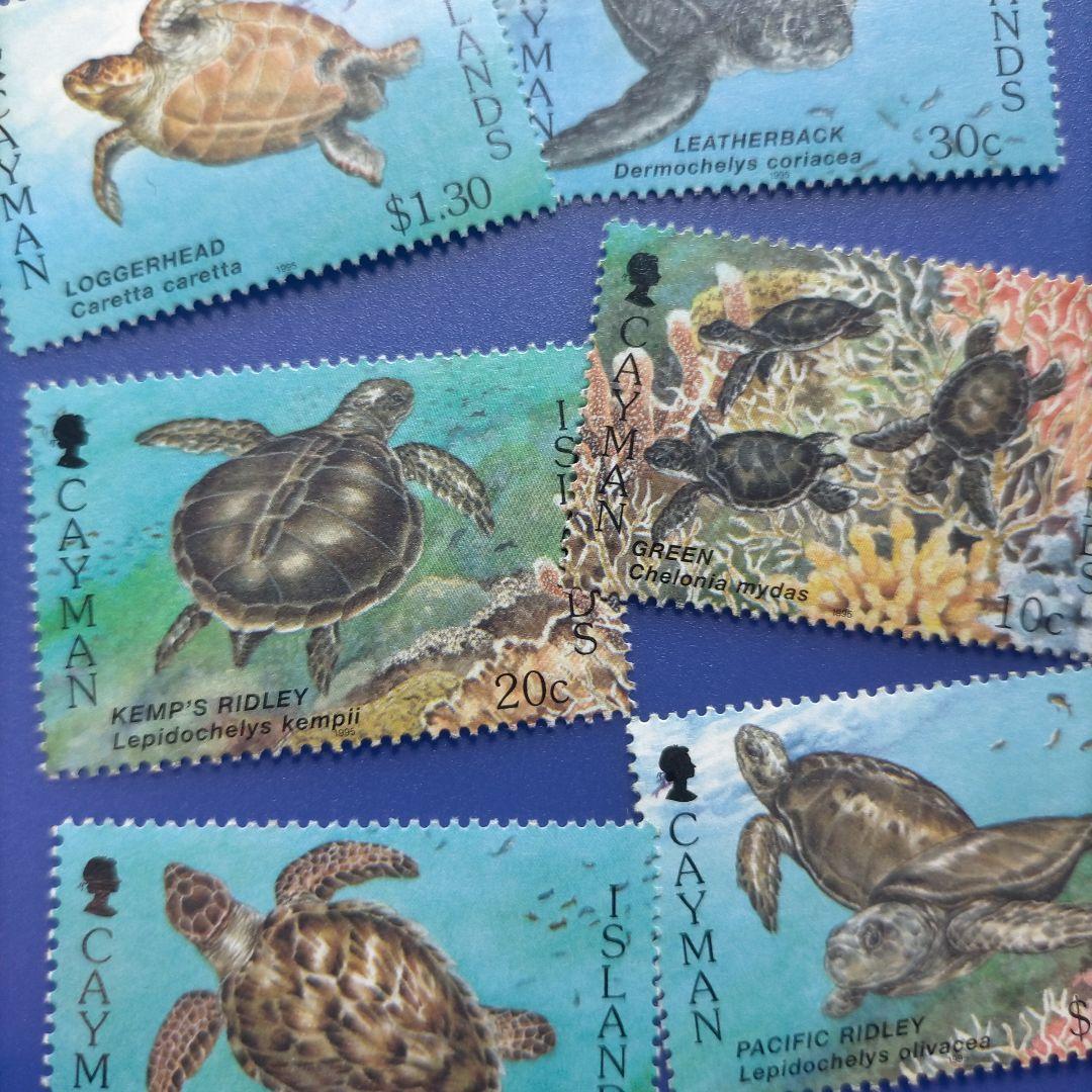 3861 外国切手 ケイマン諸島 1995年 ウミガメ 6種完 - メルカリ