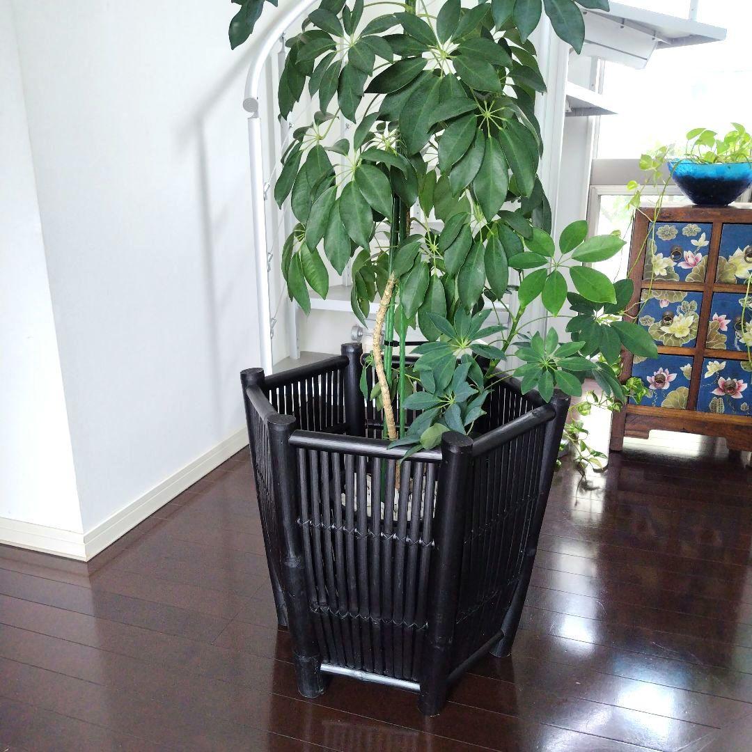 ヴィンテージ 特大バンブー 鉢カバー 六角形 ブラック