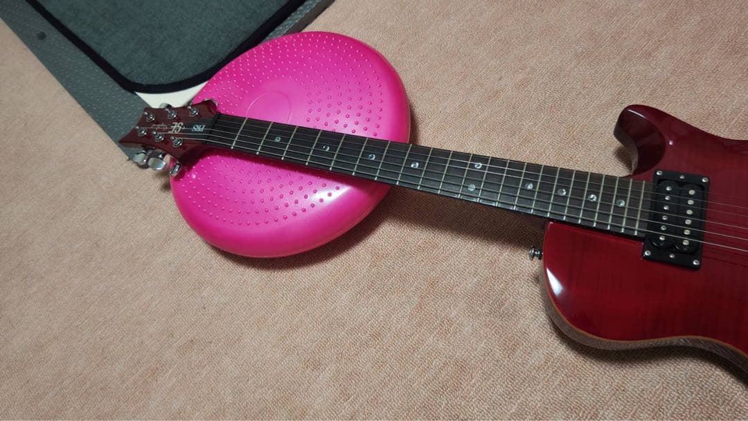 Paul Reed Smith(PRS) SE Singlecut 美品