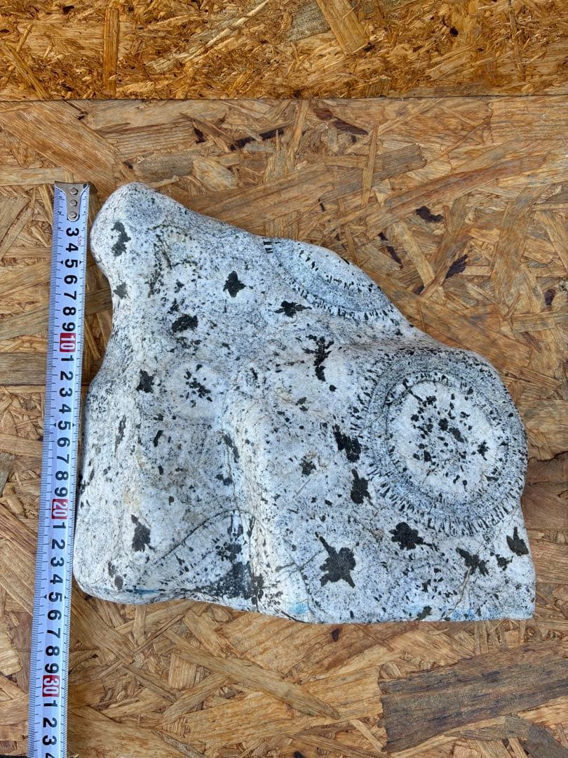 置物　ナポレオン石