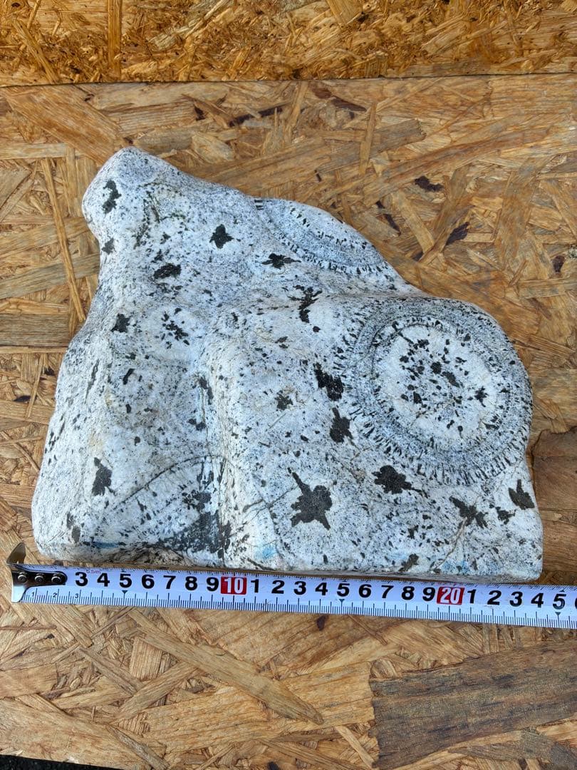 置物　ナポレオン石