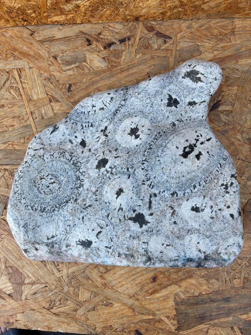 置物　ナポレオン石