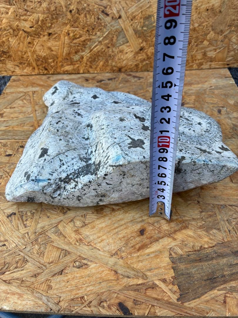 置物　ナポレオン石