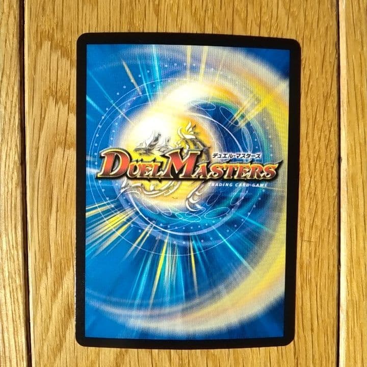 Napo獅子-VI無粋 1枚 - メルカリ