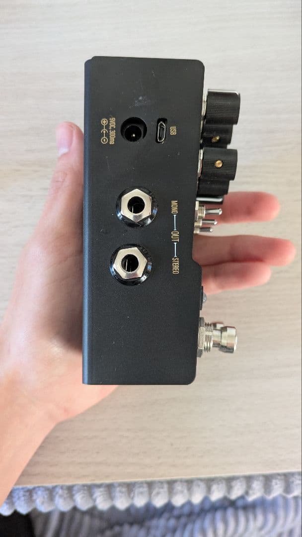 Walrus Audio R1 リバーブエフェクター