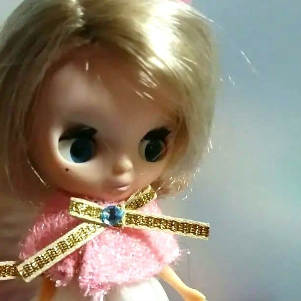 ❤プチブライス2体(箱無し)❄プロフ必読願います！ - メルカリ