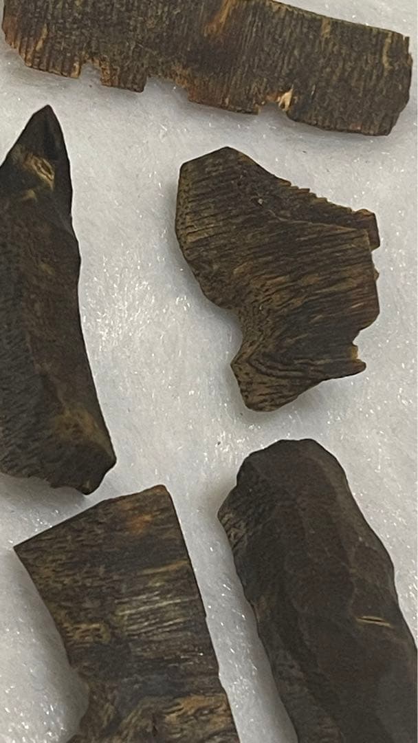 極上伽羅 沈香原木香木高ランク水沈み10グラム