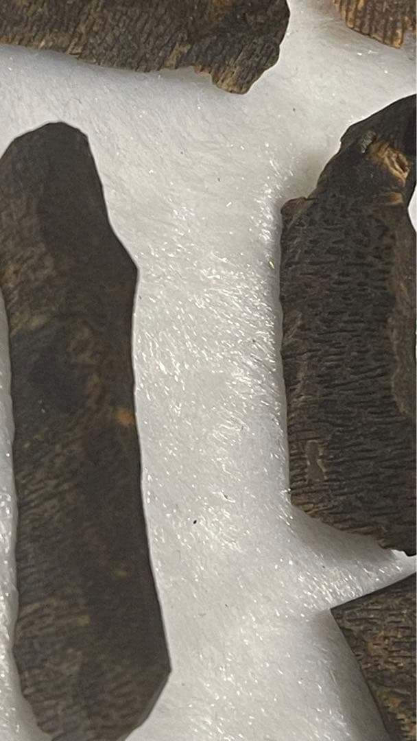 極上伽羅 沈香原木香木高ランク水沈み10グラム