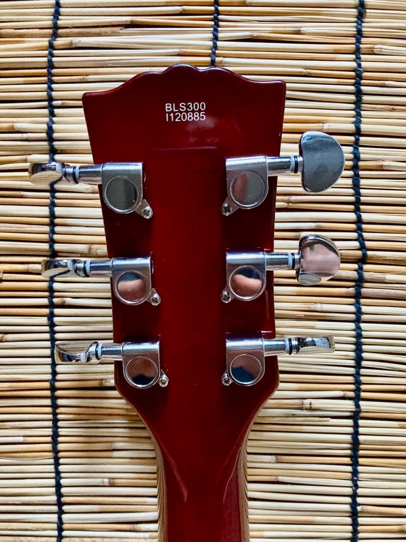 ☆美品　BUSKER'S 2V1Tに変身した逸品　LP