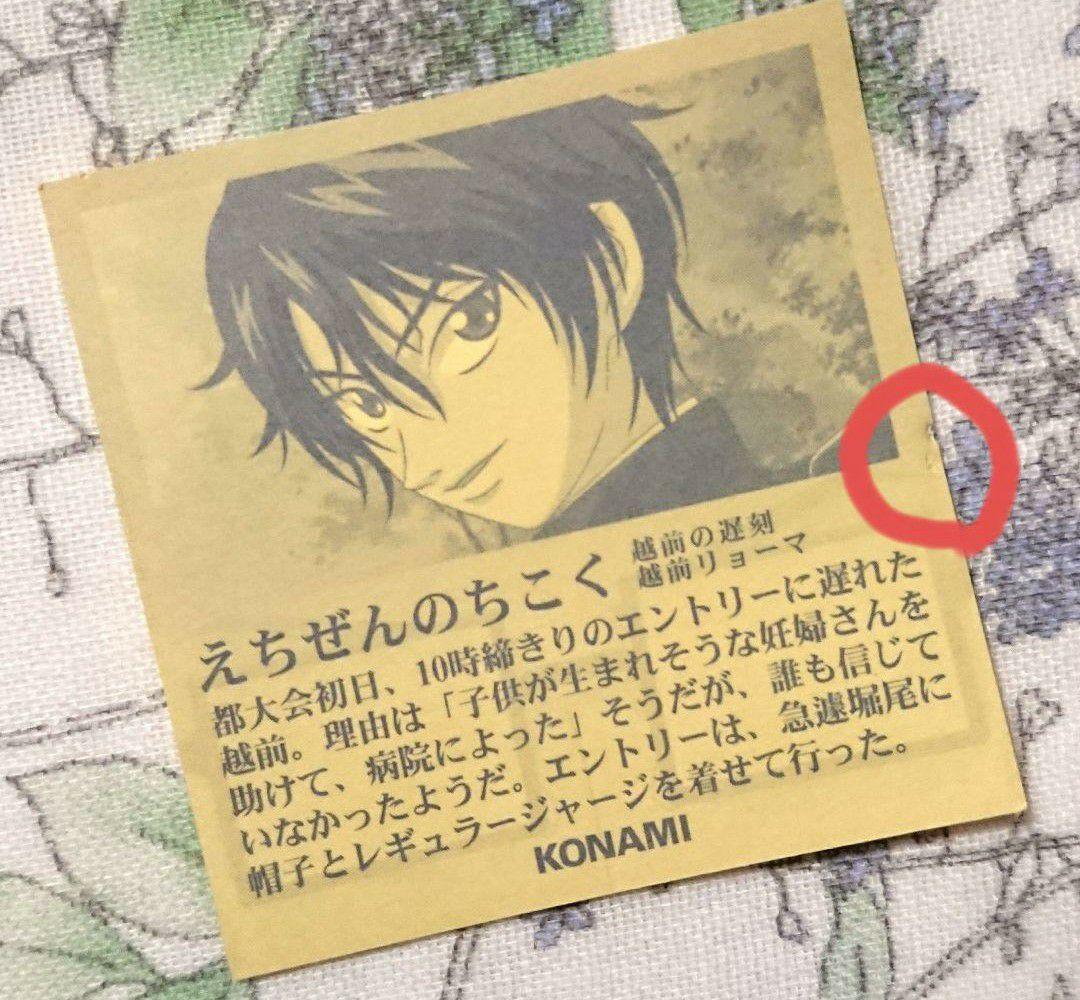 【バラ売りしません】越前リョーマ＆カルピンセット　テニスの王子様