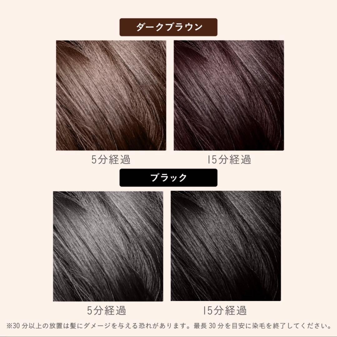 【新品/未使用】b.ris カラーリングフォーム 白髪染め 3本 ブラック