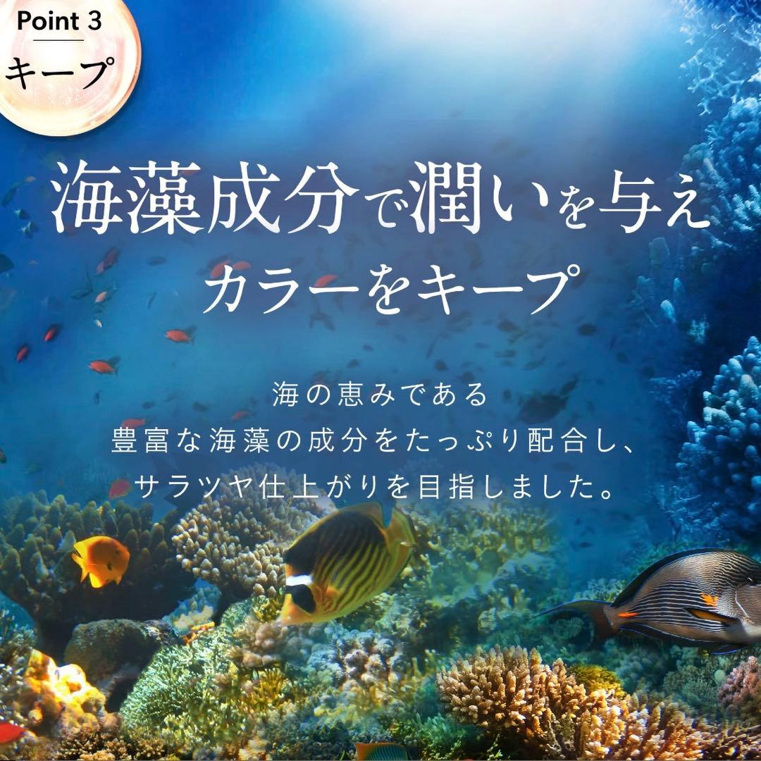 【新品/未使用】b.ris カラーリングフォーム 白髪染め 3本 ブラック