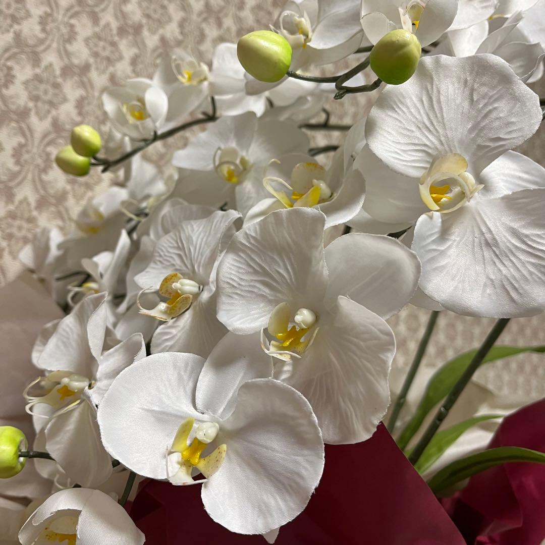 胡蝶蘭 造花 5本立て 40輪+10つぼみ ￼光触媒 高さ66cm - メルカリ