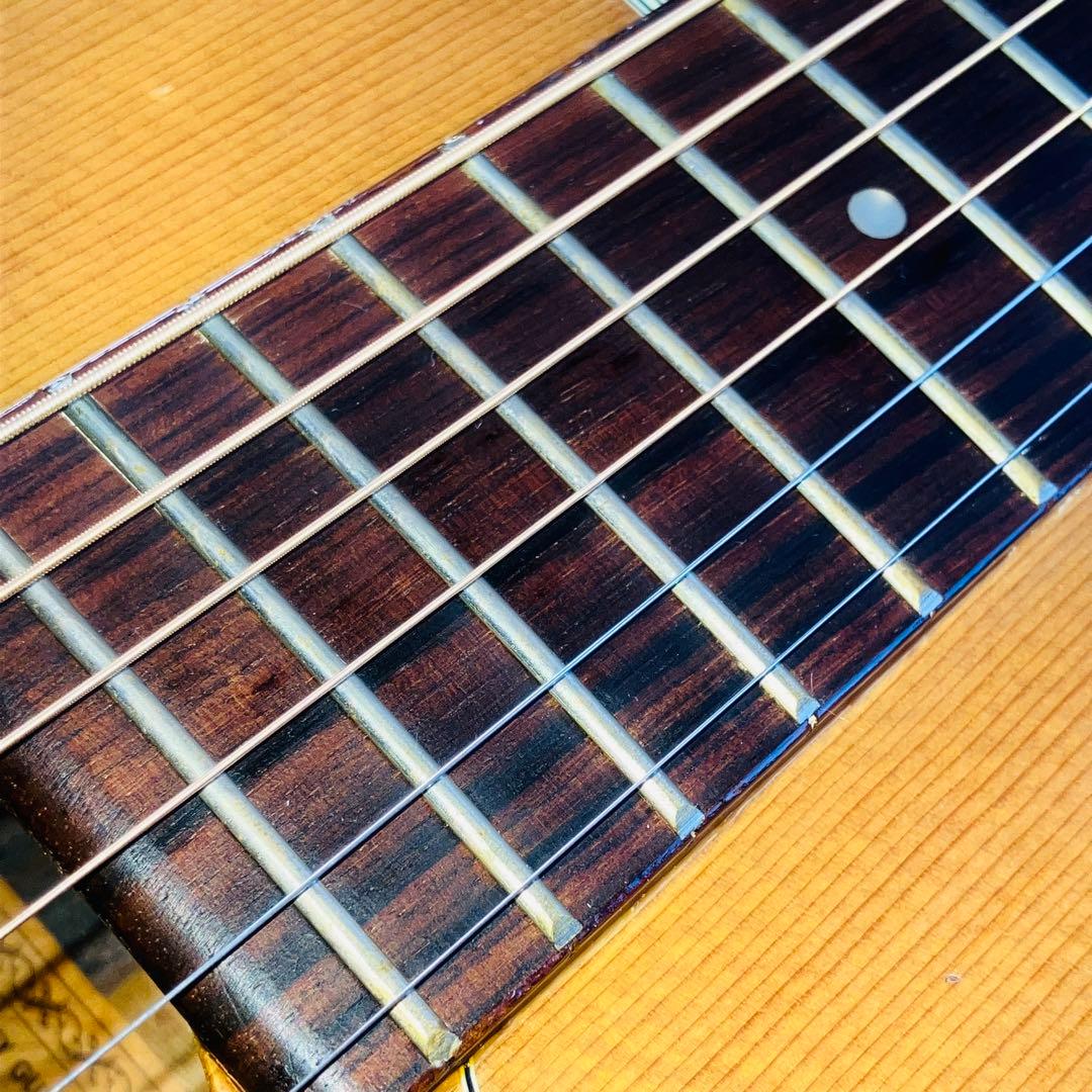 希少‼️ Morris 圧巻のハカランダ杢‼️ コレがジャパンビンテージの一