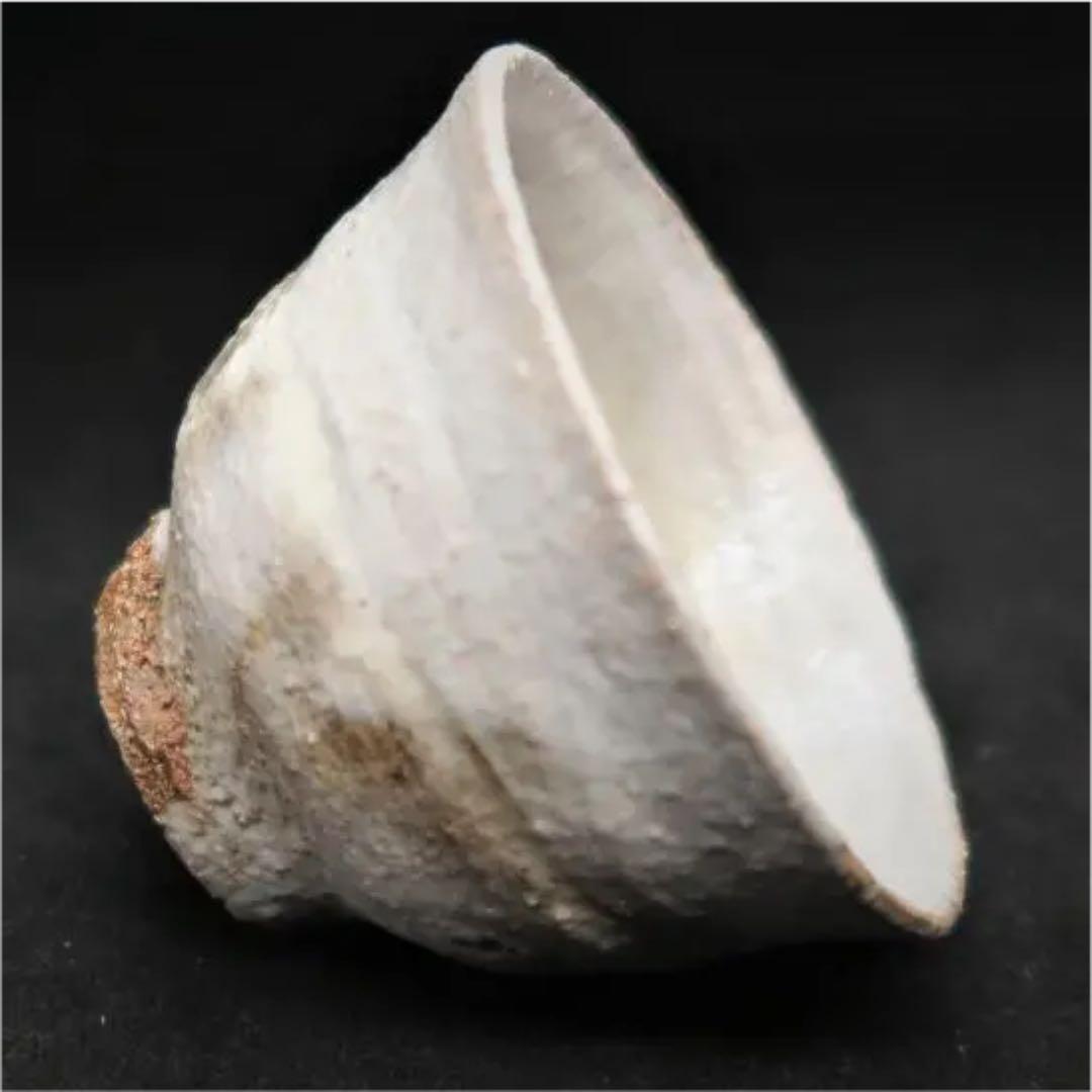 ぐい呑み（酒杯／お猪口）作家物 久岡冬彦作 奈良県 天風窯 - メルカリ