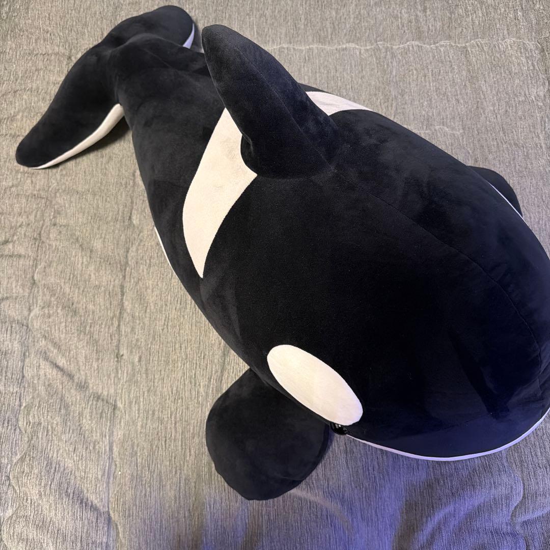 シャチくじ 特賞 ぬいぐるみ 名古屋港水族館 100cm - メルカリ