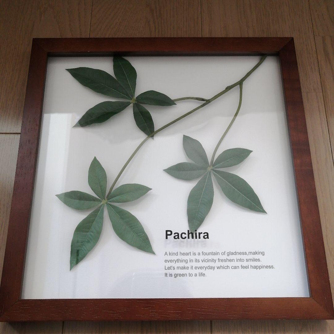 リーフパネル3種