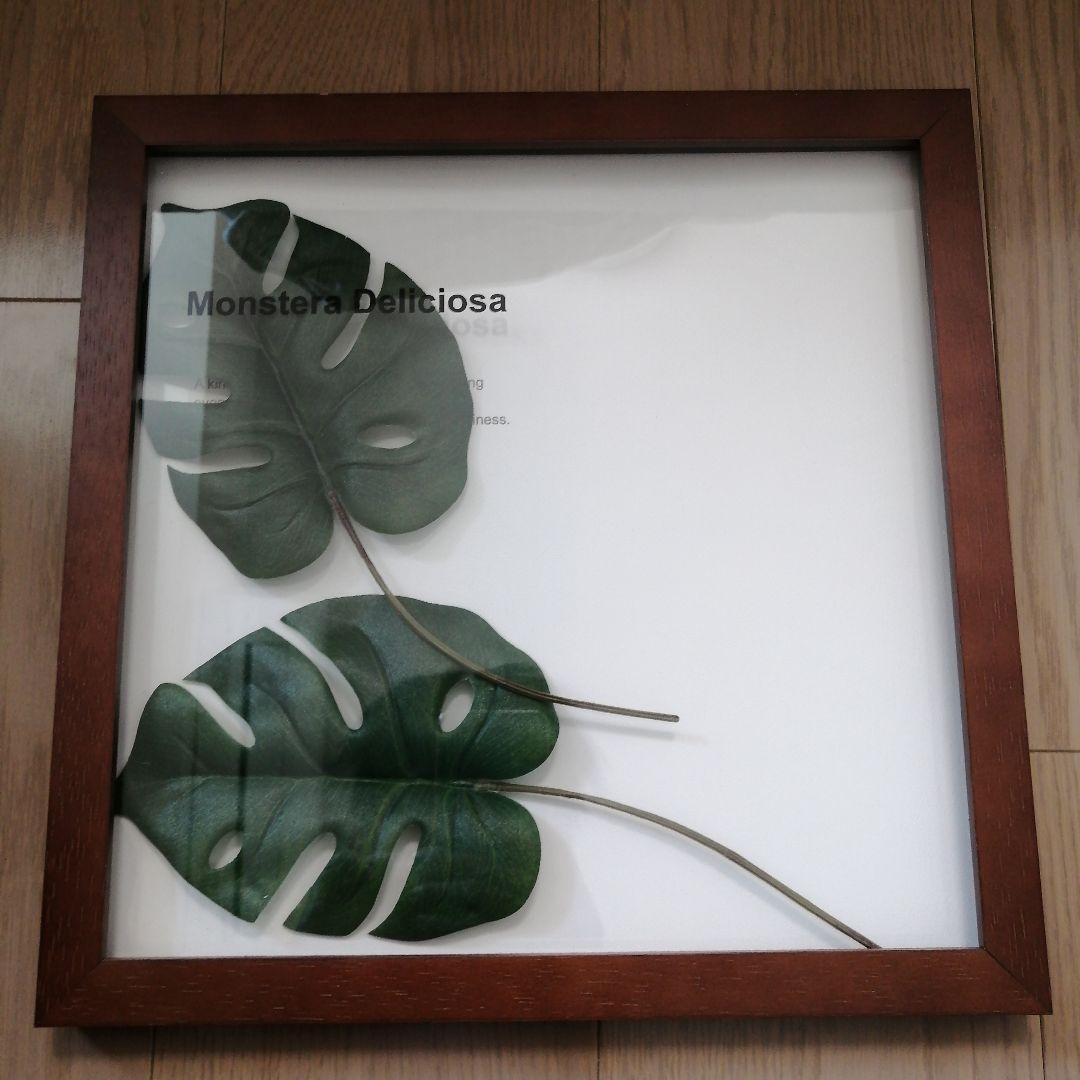 リーフパネル3種