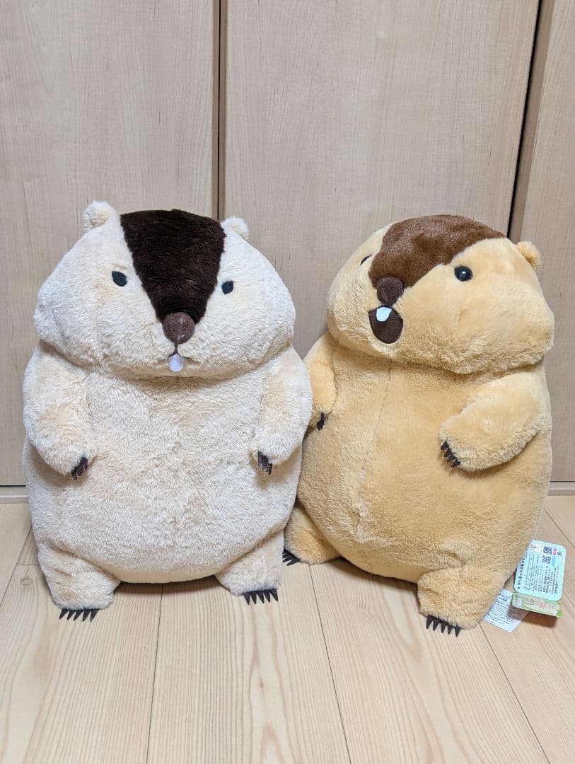 マーモットのもっとっと ウルトラBIGぬいぐるみ2点セット - メルカリ