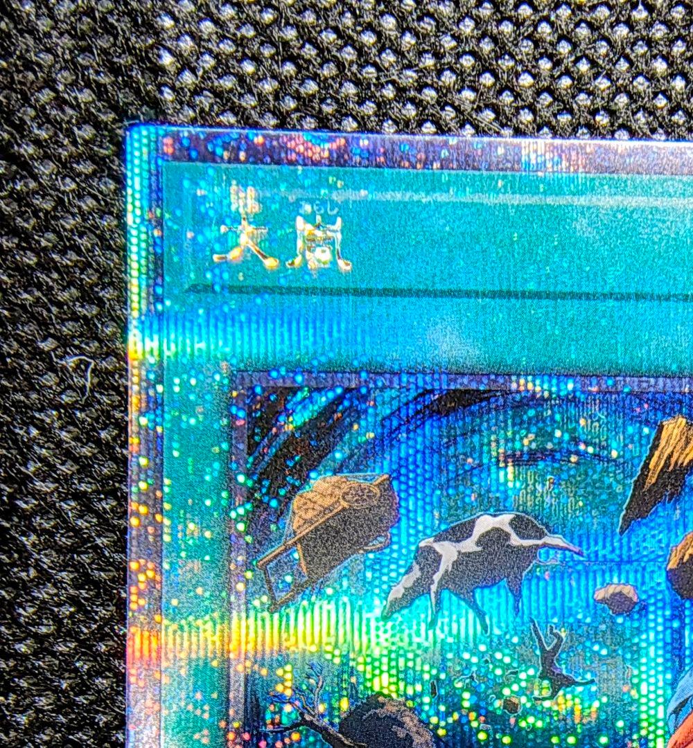 遊戯王 25th クオシク QCLP-JP006 大嵐 - メルカリ