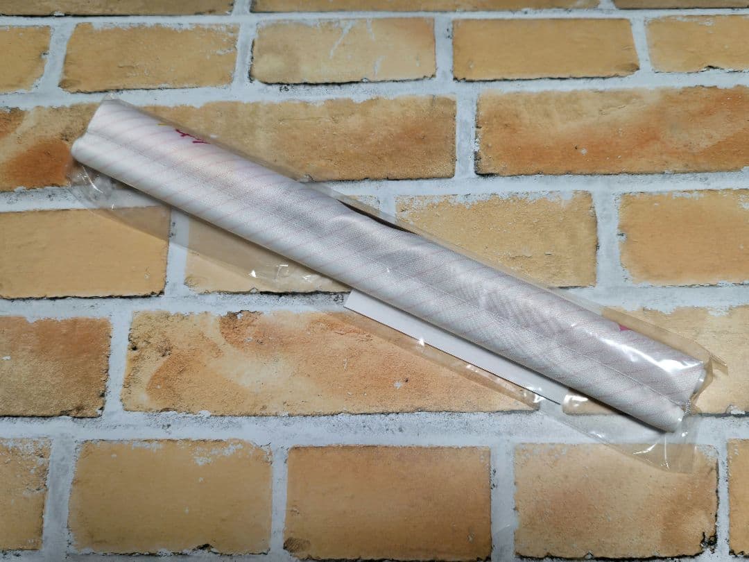 彼女、お借りします 水原千鶴 楽天ブックス 全巻購入特典 A3