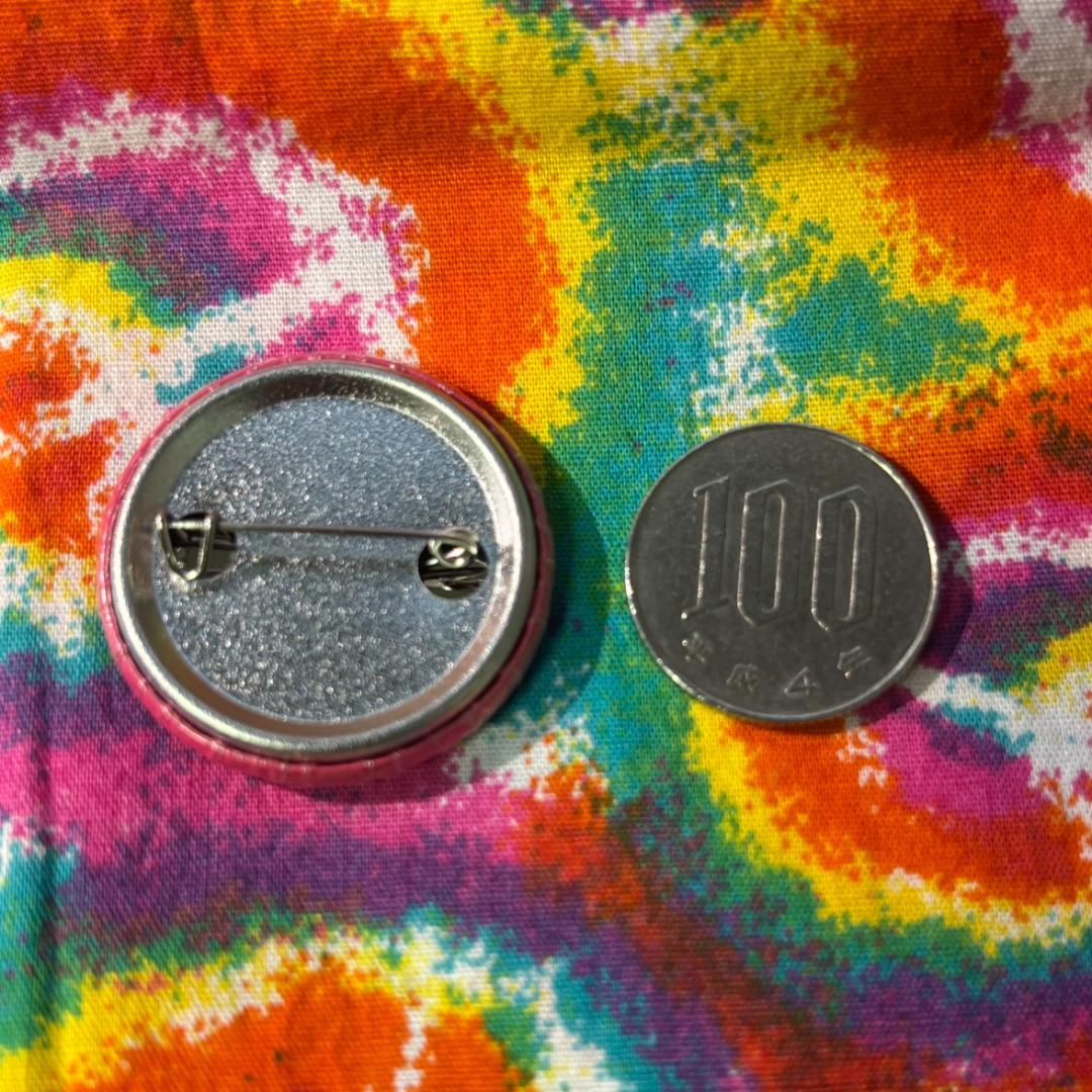 B19☆トランプ 中指 缶バッジ☆TURMP USA雑貨 古着 90s 大統領 - メルカリ