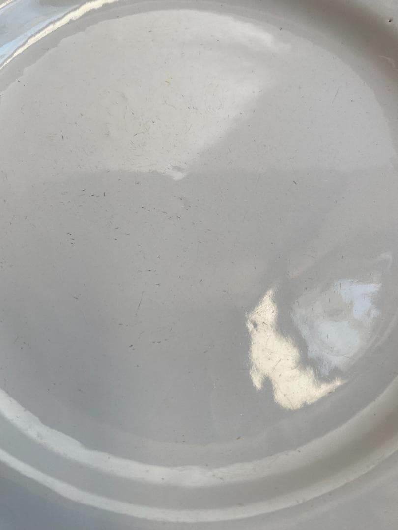 【美品】フランス アンティーク 19世紀 ムスティエ 花リム 24cm プレート