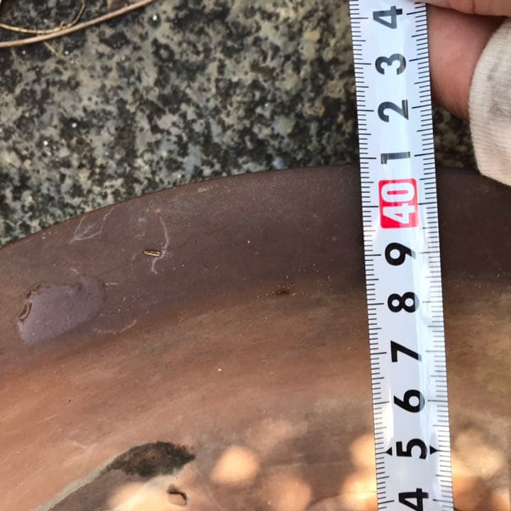 盆栽鉢 超希少レア時代朱泥大盆栽鉢落款木肌松皮中国山野草寄せ植え