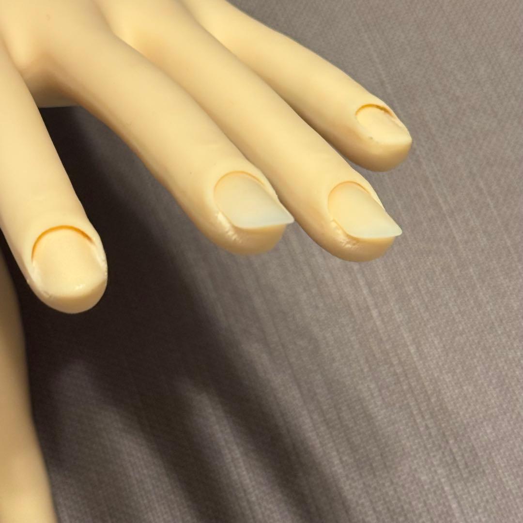 JNEC 認定モデルハンド　骨折なし