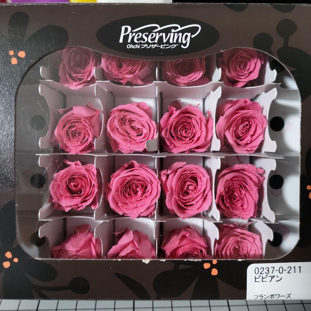 匿名配送☆大地農園 ビビアン 3色×16輪