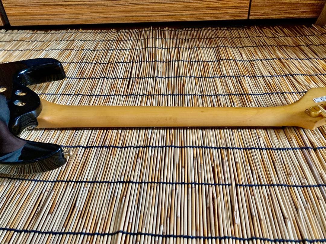 ☆値下早い者勝ち ☆多機能満載 AriaPro II MAGMA SSH ST - メルカリ