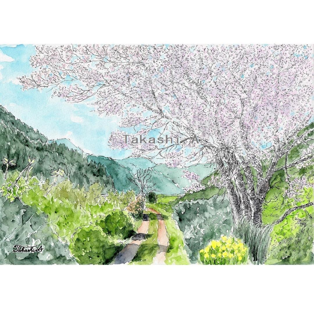 原画一点物 「里山の桜」 ＜ペンスケッチ＋透明水彩＞ - メルカリ