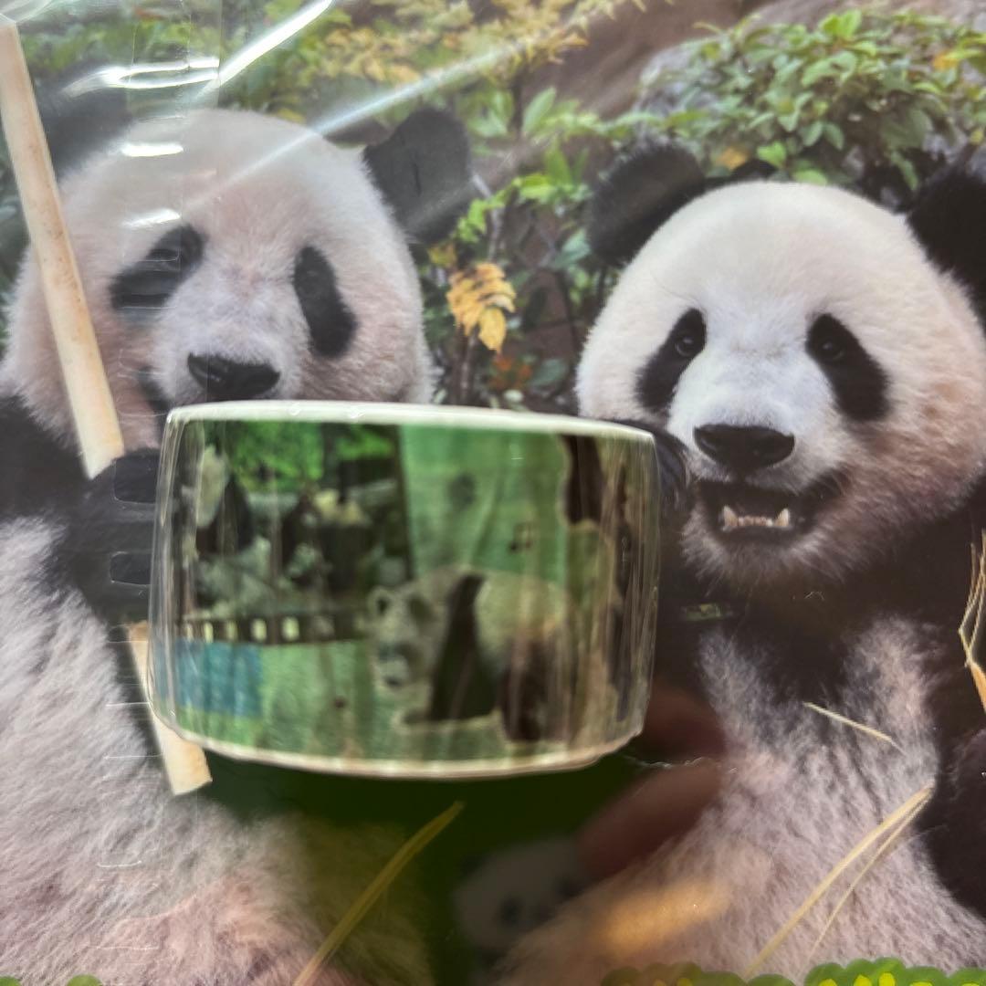 未開封》上野動物園 パンダ シャオシャオ レイレイ マスキングテープ