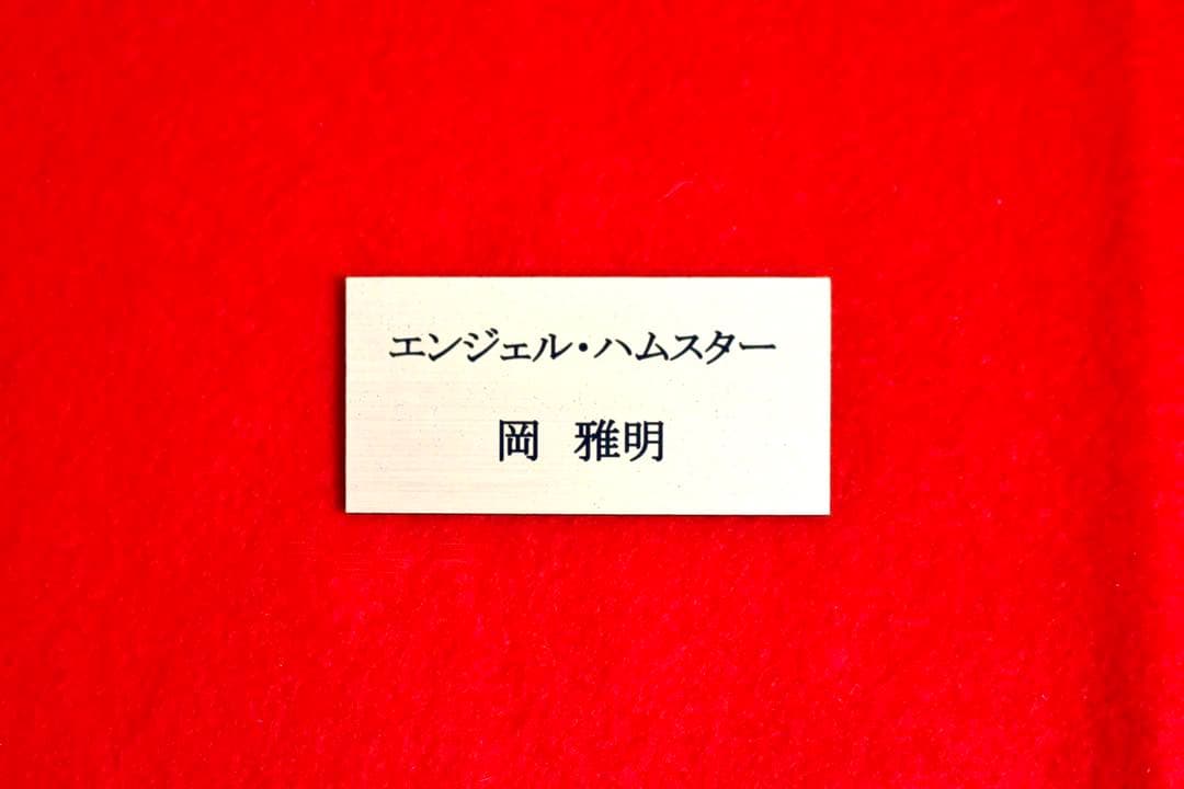 こころの風景コレクション【岡雅明　エンジェル・ハムスター】60％お値引き！！