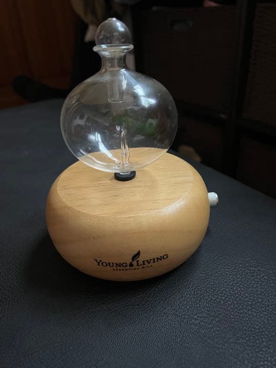 美品◆ヤングリヴィング ラウンドディフューザー