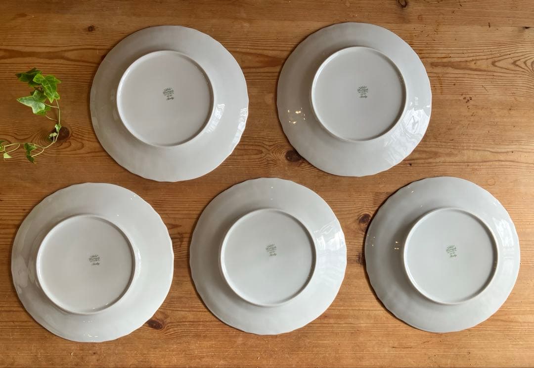 ジノリ　ベッキオホワイト　24.5ディナープレート×5