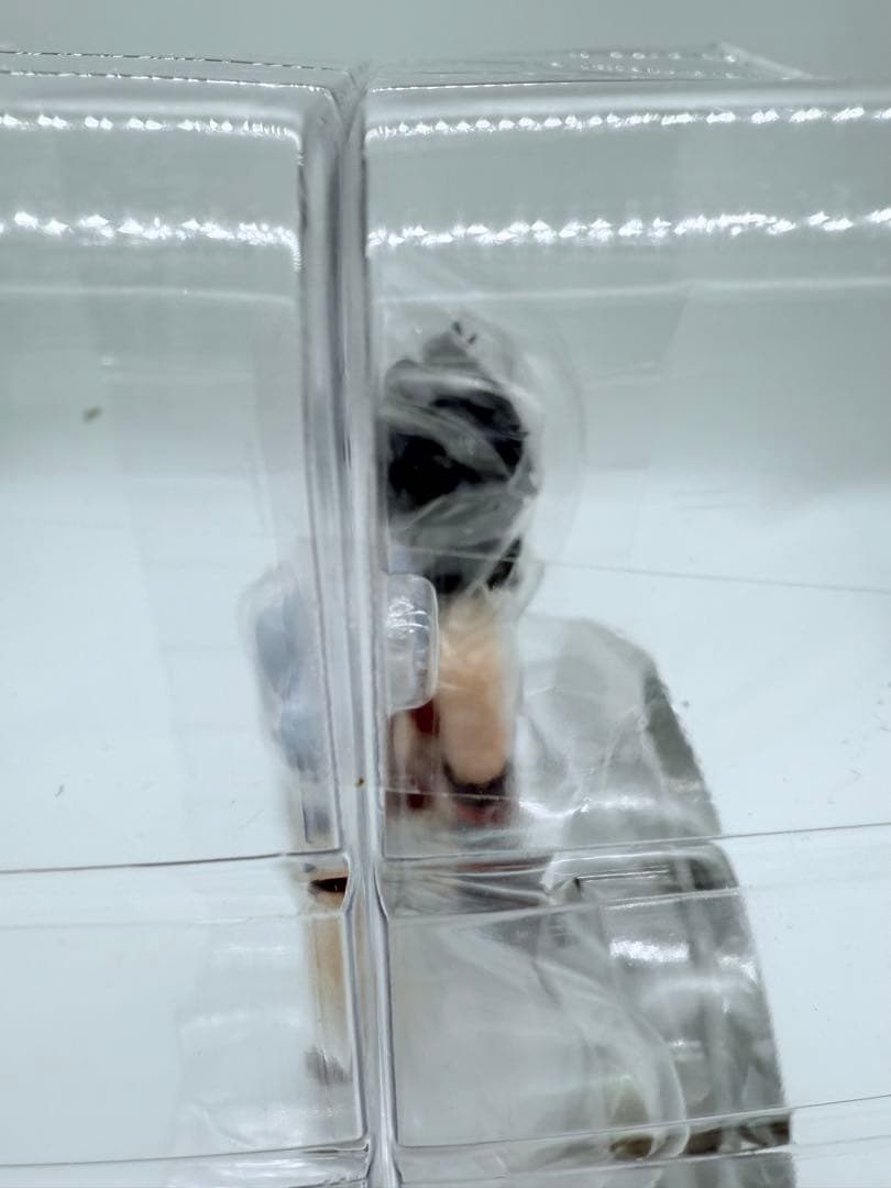 BASTARD！！ カイ・ハーンver.1.2 ブリスター未開封