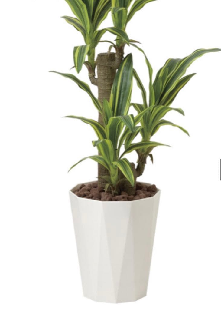 光触媒　人工観葉植物　フェイクグリーン　フレッシュドラセナ 高さ 1.25m